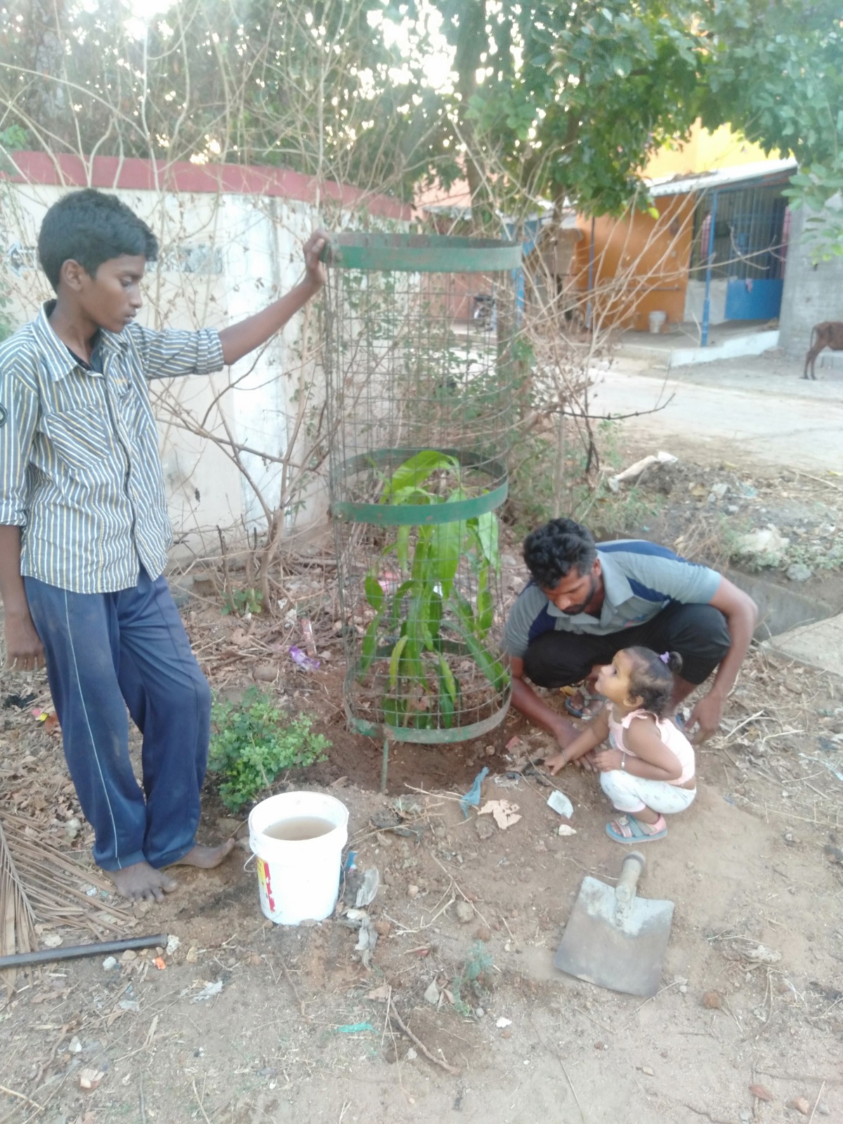 Tree Planting Drive